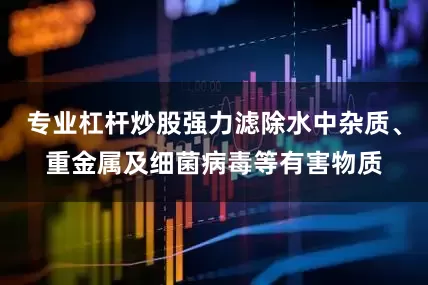 专业杠杆炒股强力滤除水中杂质、重金属及细菌病毒等有害物质