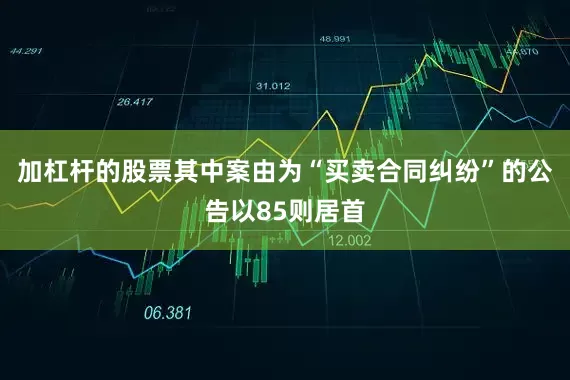 加杠杆的股票其中案由为“买卖合同纠纷”的公告以85则居首