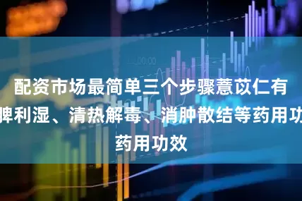 配资市场最简单三个步骤薏苡仁有健脾利湿、清热解毒、消肿散结等药用功效