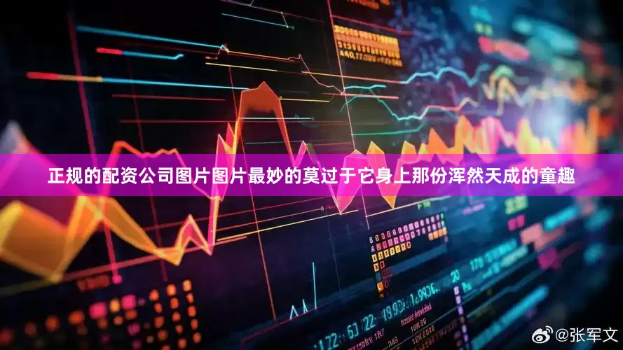 正规的配资公司图片图片最妙的莫过于它身上那份浑然天成的童趣
