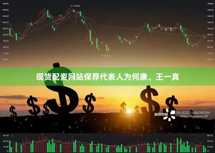 现货配资网站保荐代表人为何康、王一真