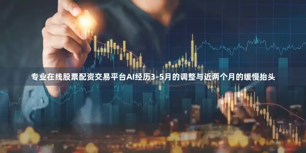 专业在线股票配资交易平台AI经历3-5月的调整与近两个月的缓慢抬头