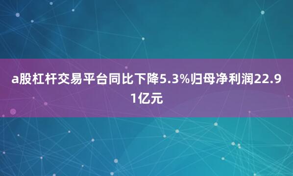 a股杠杆交易平台同比下降5.3%归母净利润22.91亿元