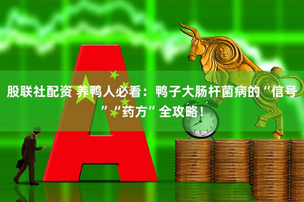 股联社配资 养鸭人必看：鸭子大肠杆菌病的“信号”“药方”全攻略！