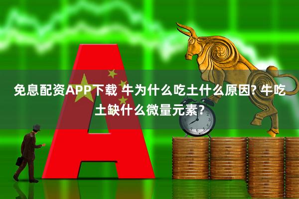 免息配资APP下载 牛为什么吃土什么原因? 牛吃土缺什么微量元素？