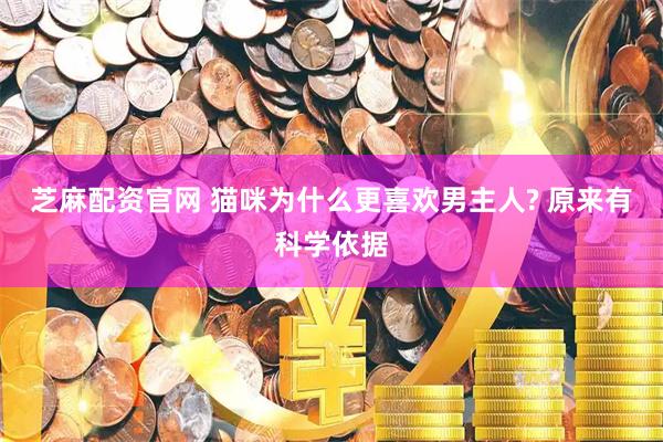 芝麻配资官网 猫咪为什么更喜欢男主人? 原来有科学依据