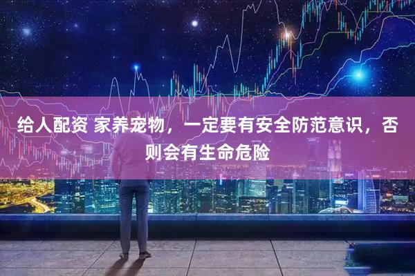 给人配资 家养宠物，一定要有安全防范意识，否则会有生命危险