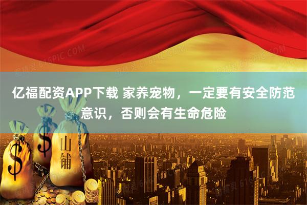 亿福配资APP下载 家养宠物，一定要有安全防范意识，否则会有生命危险