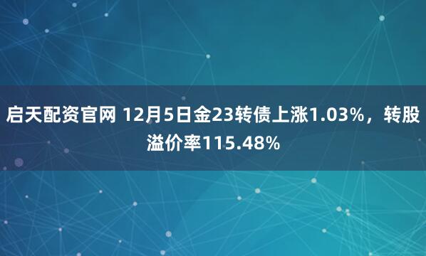启天配资官网 12月5日金23转债上涨1.03%，转股溢价率115.48%