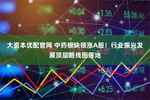 大资本优配官网 中药板块领涨A股！行业振兴发展顶层路线图落地